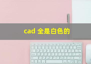 cad 全是白色的